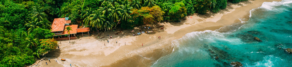 Una costa tropicale vista dall'alto, con una spiaggia sabbiosa e palme rigogliose.